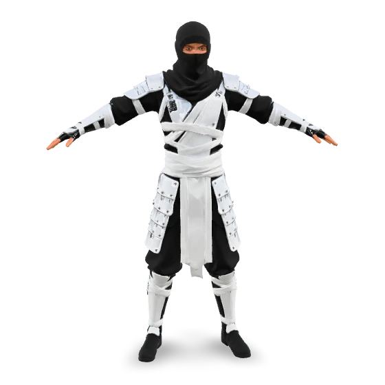 White Ninja