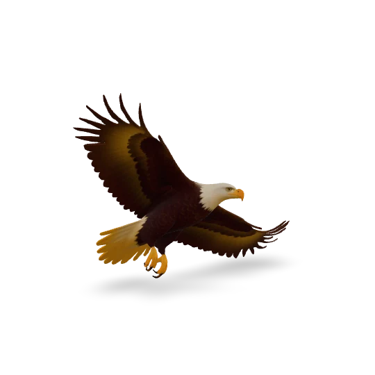 Flying eagle 3D animal model